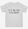 Its On The Syllabus Toddler Shirt 666x695.jpg?v=1700633063