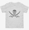 Jolly Roger Pirate Toddler Shirt 666x695.jpg?v=1700543368