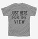 Just Here For The View grey Youth Tee