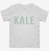 Kale Toddler Shirt 666x695.jpg?v=1700631546