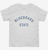 Kentucky Bluegrass State Toddler Shirt 666x695.jpg?v=1700360851