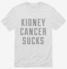 Kidney Cancer Sucks Shirt 666x695.jpg?v=1700509144