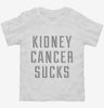 Kidney Cancer Sucks Toddler Shirt 666x695.jpg?v=1700509144