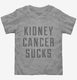 Kidney Cancer Sucks grey Toddler Tee