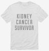 Kidney Cancer Survivor Shirt 666x695.jpg?v=1700478701