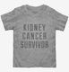 Kidney Cancer Survivor grey Toddler Tee