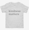 Kindness Matters Toddler Shirt 666x695.jpg?v=1700378068