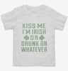 Kiss Me Funny St Patricks Day Toddler Shirt 666x695.jpg?v=1700543184
