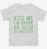 Kiss Me Im Drunk Or Irish Or Whatever Toddler Shirt 666x695.jpg?v=1700631017