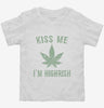 Kiss Me Im Highrish Toddler Shirt 666x695.jpg?v=1700543089