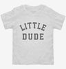 Little Dude Toddler Shirt 666x695.jpg?v=1700357341