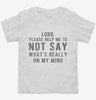 Lord Please Help Me Not Say Whats Really On My Mind Toddler Shirt 666x695.jpg?v=1700629063