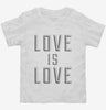 Love Is Love Toddler Shirt 666x695.jpg?v=1700628671