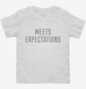 Meets Expectations Toddler Shirt 666x695.jpg?v=1700627846