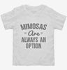 Mimosas Are Always An Option Toddler Shirt 666x695.jpg?v=1700511995