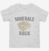 Minerals Rock Collectors Funny Toddler Shirt 666x695.jpg?v=1700540915
