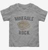 Minerals Rock Collectors Funny Toddler