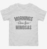 Mornings Are For Mimosas Toddler Shirt 666x695.jpg?v=1700477162