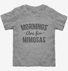 Mornings Are For Mimosas Toddler