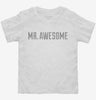 Mr Awesome Toddler Shirt 666x695.jpg?v=1700627244