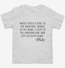 Music Gives Soul To The Universe Plato Quote Toddler Shirt 666x695.jpg?v=1700540560
