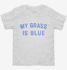 My Grass Is Blue Toddler Shirt 666x695.jpg?v=1700381691