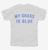 My Grass Is Blue Youth