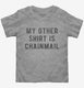 My Other Shirt Is Chainmail  Toddler Tee