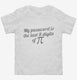 My Password Is The Last 8 Digits Of Pi Funny Math Geek white Toddler Tee