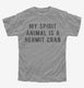 My Spirit Animal Is A Hermit Crab grey Youth Tee