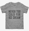 Never Too Cold For Ice Cream Toddler