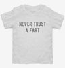 Never Trust A Fart Toddler Shirt Ac0502d0-12d7-42d7-9383-ce50b4146c81 666x695.jpg?v=1700598728