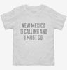 New Mexico Is Calling And I Must Go Toddler Shirt 666x695.jpg?v=1700510748