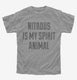 Nitrous Is My Spirit Animal Drug grey Youth Tee