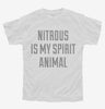 Nitrous Is My Spirit Animal Drug Youth