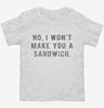 No I Wont Make You A Sandwich Toddler Shirt B0d51299-75db-4fef-a232-b5c284823f4b 666x695.jpg?v=1700598275
