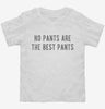 No Pants Are The Best Pants Toddler Shirt D4805d20-3678-47f8-bce7-70ba5abee842 666x695.jpg?v=1700598076