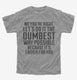 No You're Right Let's Do It The Dumbest Way Possible grey Youth Tee