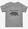 Papa Bear Funny Fathers Day Gift Toddler