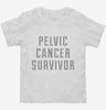 Pelvic Cancer Survivor Toddler Shirt 666x695.jpg?v=1700471900