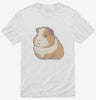 Pet Guinea Pig Graphic Shirt 666x695.jpg?v=1700300741