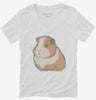 Pet Guinea Pig Graphic Womens Vneck Shirt 666x695.jpg?v=1700300741