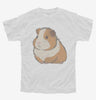 Pet Guinea Pig Graphic Youth