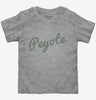 Peyote Toddler Tshirt B6ca52cb-1d34-44b4-ba22-8189db6a635f 666x695.jpg?v=1700596986