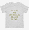 Pickles Are Cucumbers Soaked In Evil Toddler Shirt 265a337d-7665-4986-92fc-ceb6ac97cd81 666x695.jpg?v=1700596889