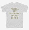 Pickles Are Cucumbers Soaked In Evil Youth Tshirt 00624b3d-1aa0-4e46-85e3-3ec6bbe30ee5 666x695.jpg?v=1700596889