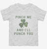 Pinch Me And Ill Punch You St Patricks Day Toddler Shirt 61dbe70c-981b-4bf9-a448-46dc5c63f3ec 666x695.jpg?v=1700596696
