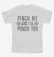 Pinch Me And I'll Punch You  Youth Tee