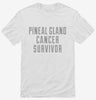 Pineal Gland Cancer Survivor Shirt 666x695.jpg?v=1700472770