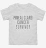 Pineal Gland Cancer Survivor Toddler Shirt 666x695.jpg?v=1700472770